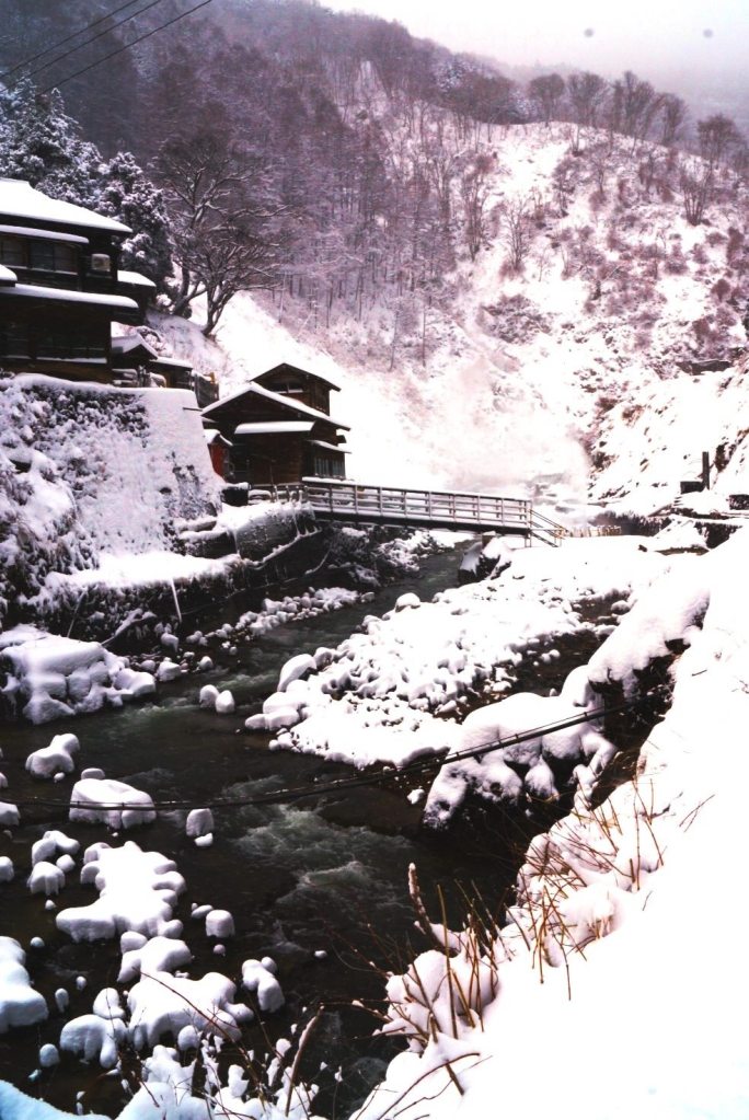 277595_474602949242338_1284951505_o