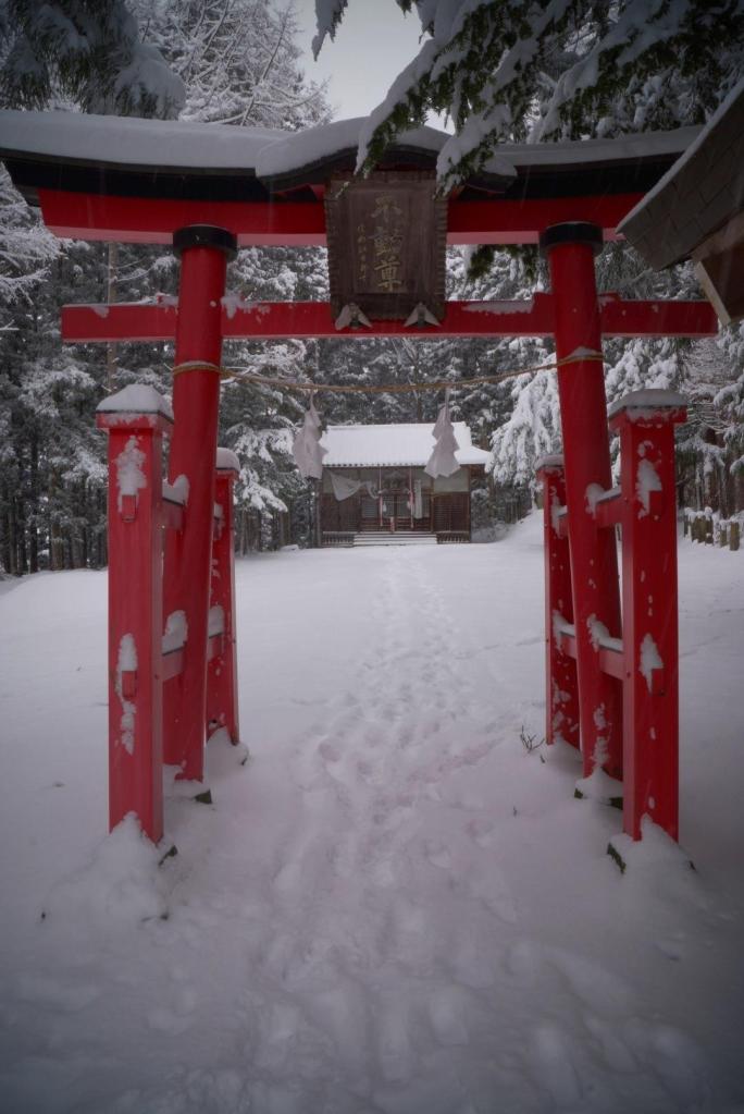 415960_474602872575679_1741891001_o