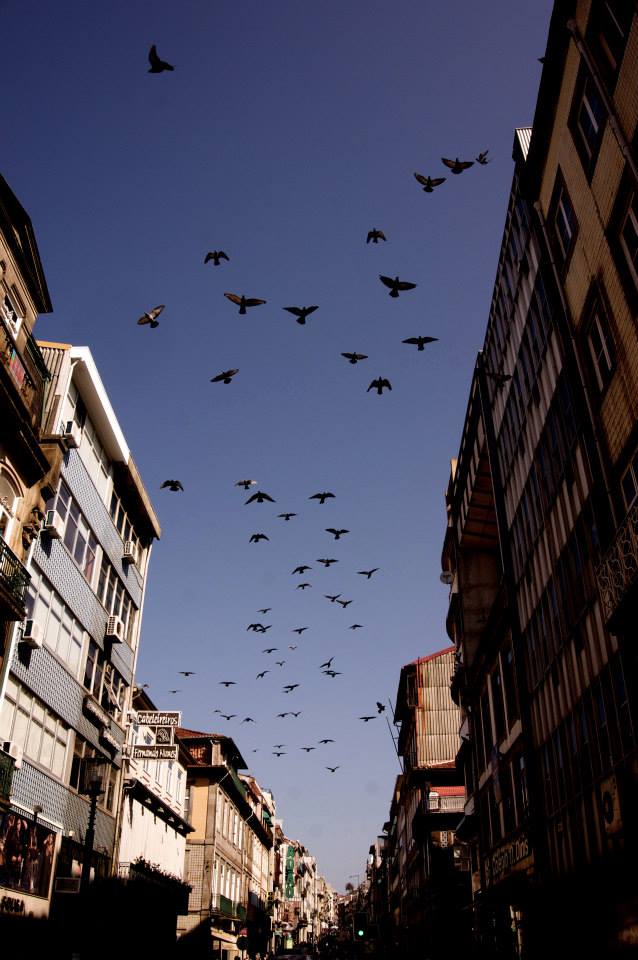 426082_741150559254241_8734048242509796243_n