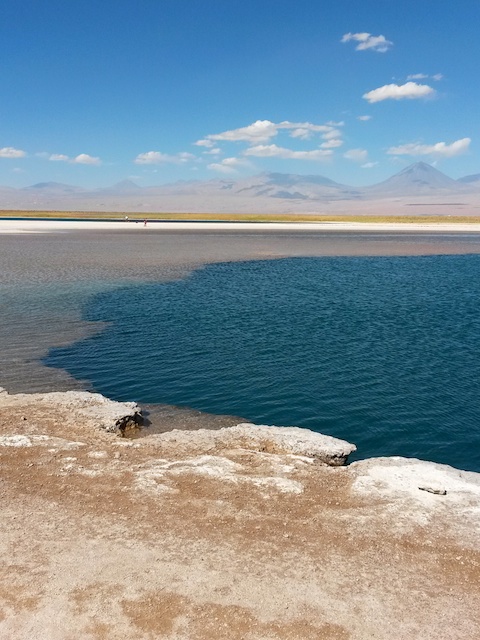 Laguna Cejar