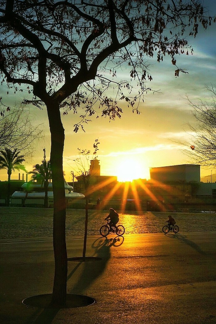 11103160_829357943766835_1335481581887234834_o