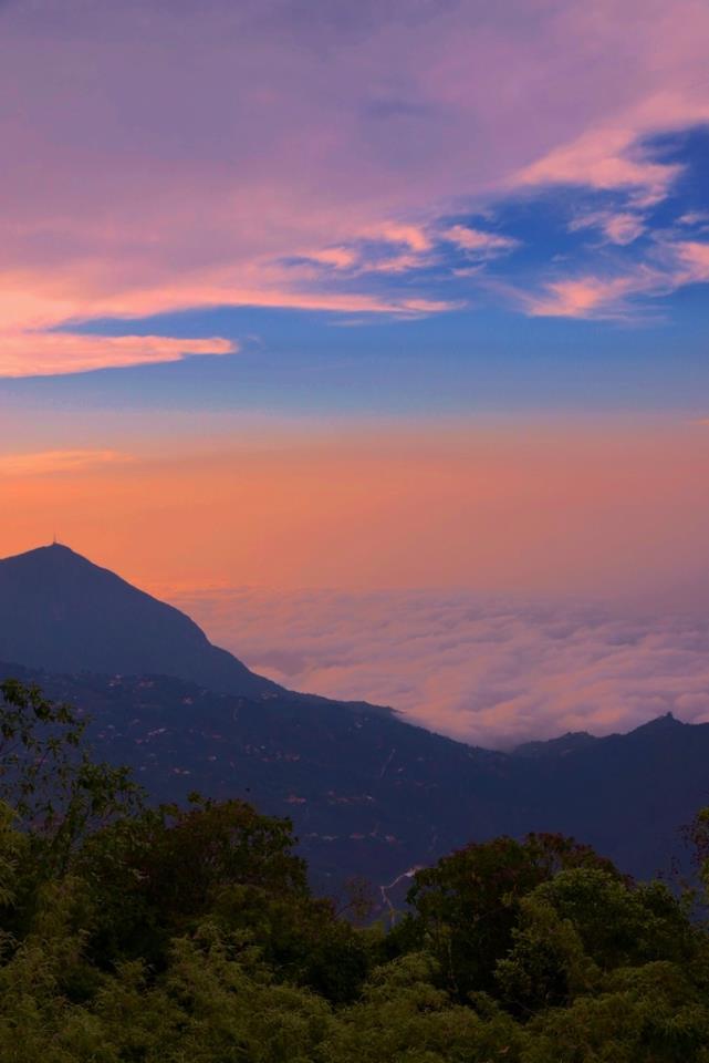 538857_515952868440679_713168513_n